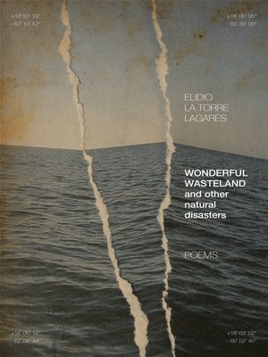 cover image of Wonderful Wasteland and other natural disasters